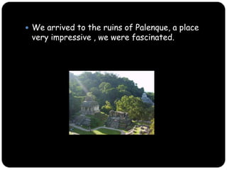 We arrived to the ruins of Palenque, a place very impressive , we were fascinated.
