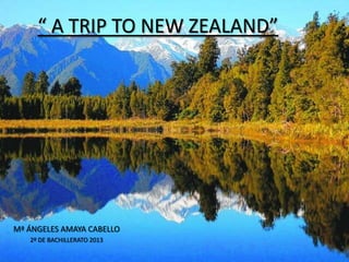 “ A TRIP TO NEW ZEALAND”
Mª ÁNGELES AMAYA CABELLO
2º DE BACHILLERATO 2013
 
