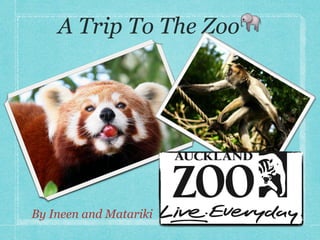 A Trip To The Zoo🐘




By Ineen and Matariki
 