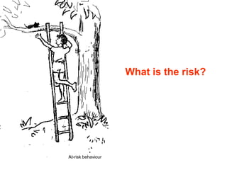What is the risk?




At-risk behaviour
 