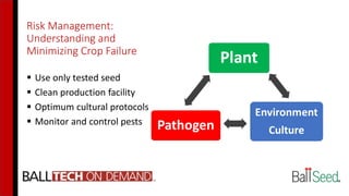 Risk Management:
Understanding and
Minimizing Crop Failure
 Use only tested seed
 Clean production facility
 Optimum cultural protocols
 Monitor and control pests
 