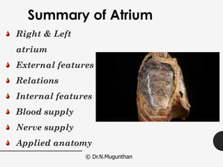 ATRIUM OF HEART -Prof.Dr.N.Mugunthan. KMMC Medical College and ...