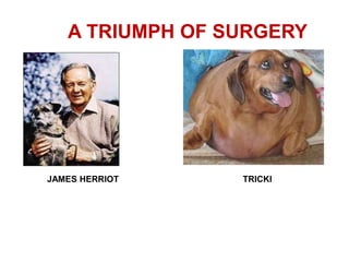 A TRIUMPH OF SURGERY
JAMES HERRIOT TRICKI
 