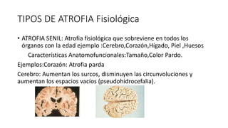 ATROFIA DE LOS PRINCIPALES MECANISMOS PATOLOGICOS | PPTX