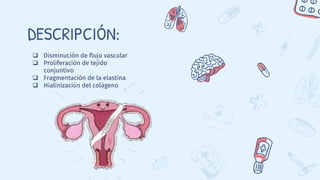  Disminución de flujo vascular
 Proliferación de tejido
conjuntivo
 Fragmentación de la elastina
 Hialinización del colágeno
DESCRIPCIÓN:
 