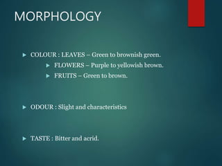 MORPHOLOGY
 COLOUR : LEAVES – Green to brownish green.
 FLOWERS – Purple to yellowish brown.
 FRUITS – Green to brown.
 ODOUR : Slight and characteristics
 TASTE : Bitter and acrid.
 