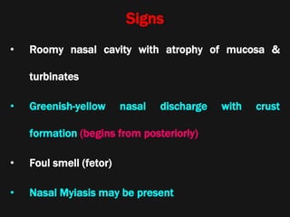 Signs
• Roomy nasal cavity with atrophy of mucosa &
turbinates
• Greenish-yellow nasal discharge with crust
formation (begins from posteriorly)
• Foul smell (fetor)
• Nasal Myiasis may be present
 