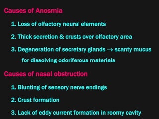 Causes of Anosmia
1. Loss of olfactory neural elements
2. Thick secretion & crusts over olfactory area
3. Degeneration of secretary glands  scanty mucus
for dissolving odoriferous materials
Causes of nasal obstruction
1. Blunting of sensory nerve endings
2. Crust formation
3. Lack of eddy current formation in roomy cavity
 