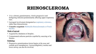 This presentation is about Atrophic Rhinitis | PPTX