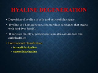 HYALINE DEGENERATION
• Deposition of hyaline in cells and extracellular space
• Hyaline is a homogeneous, structureless substance that stains
with acid dyes (eosin).
• It consists mainly of proteins but can also contain fats and
carbohydrates
• Conventional classification
• intracellular hyaline
• extracellular hyaline
 