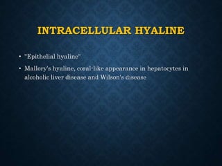 INTRACELLULAR HYALINE
• "Epithelial hyaline"
• Mallory's hyaline, coral-like appearance in hepatocytes in
alcoholic liver disease and Wilson's disease
 