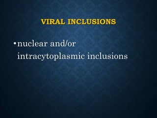VIRAL INCLUSIONS
•nuclear and/or
intracytoplasmic inclusions
 