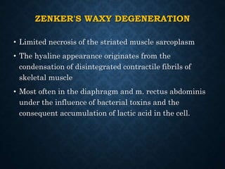 ZENKER'S WAXY DEGENERATION
• Limited necrosis of the striated muscle sarcoplasm
• The hyaline appearance originates from the
condensation of disintegrated contractile fibrils of
skeletal muscle
• Most often in the diaphragm and m. rectus abdominis
under the influence of bacterial toxins and the
consequent accumulation of lactic acid in the cell.
 