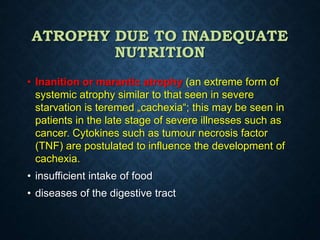 ATROPHY DUE TO INADEQUATE
NUTRITION
• Inanition or marantic atrophy (an extreme form of
systemic atrophy similar to that seen in severe
starvation is teremed „cachexia“; this may be seen in
patients in the late stage of severe illnesses such as
cancer. Cytokines such as tumour necrosis factor
(TNF) are postulated to influence the development of
cachexia.
• insufficient intake of food
• diseases of the digestive tract
 