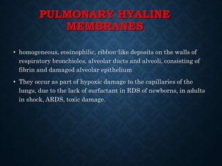 PULMONARY HYALINE
MEMBRANES
• homogeneous, eosinophilic, ribbon-like deposits on the walls of
respiratory bronchioles, alveolar ducts and alveoli, consisting of
fibrin and damaged alveolar epithelium
• They occur as part of hypoxic damage to the capillaries of the
lungs, due to the lack of surfactant in RDS of newborns, in adults
in shock, ARDS, toxic damage.
 