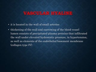 VASCULAR HYALINE
• it is located in the wall of small arteries
• thickening of the wall and narrowing of the blood vessel
lumen consists of precipitated plasma proteins that infiltrated
the wall under elevated hydrostatic pressure, in hypertension,
as well as elements of the endothelial basement membrane
(collagen type IV)
 