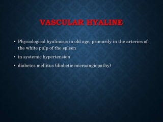 VASCULAR HYALINE
• Physiological hyalinosis in old age, primarily in the arteries of
the white pulp of the spleen
• in systemic hypertension
• diabetes mellitus (diabetic microangiopathy)
 