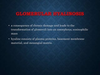 GLOMERULAR HYALINOSIS
• a consequence of chronic damage and leads to the
transformation of glomeruli into an amorphous, eosinophilic
mass
• hyaline consists of plasma proteins, basement membrane
material, and mesangial matrix.
 