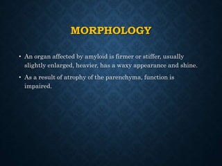 MORPHOLOGY
• An organ affected by amyloid is firmer or stiffer, usually
slightly enlarged, heavier, has a waxy appearance and shine.
• As a result of atrophy of the parenchyma, function is
impaired.
 
