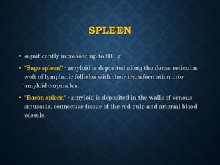 SPLEEN
• significantly increased up to 800 g
• "Sago spleen" - amyloid is deposited along the dense reticulin
weft of lymphatic follicles with their transformation into
amyloid corpuscles.
• "Bacon spleen" - amyloid is deposited in the walls of venous
sinusoids, connective tissue of the red pulp and arterial blood
vessels.
 