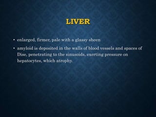 LIVER
• enlarged, firmer, pale with a glassy sheen
• amyloid is deposited in the walls of blood vessels and spaces of
Dise, penetrating to the sinusoids, exerting pressure on
hepatocytes, which atrophy.
 