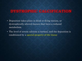 DYSTROPHIC CALCIFICATION
• Deposition takes place in dead or dying tissues, or
dystrophically altered tissues that have a reduced
metabolism.
• The level of serum calcium is normal, and the deposition is
conditioned by a special property of the tissue.
 