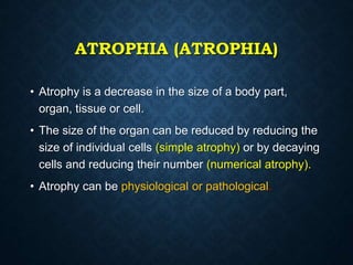 ATROPHIA (ATROPHIA)
• Atrophy is a decrease in the size of a body part,
organ, tissue or cell.
• The size of the organ can be reduced by reducing the
size of individual cells (simple atrophy) or by decaying
cells and reducing their number (numerical atrophy).
• Atrophy can be physiological or pathological.
 