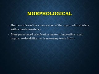 MORPHOLOGICAL
• On the surface of the cross-section of the organ, whitish islets,
with a hard consistency
• More pronounced calcification makes it impossible to cut
organs, so decalcification is necessary (conc. HCL).
 