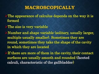 MACROSCOPICALLY
The appearance of calculus depends on the way it is
formed
The size is very variable
Number and shape variable (solitary, usually larger,
multiple usually smaller). Sometimes they are
round, sometimes they take the shape of the cavity
in which they are located
If there are more of them in the cavity, their contact
surfaces are usually smooth and rounded (faceted
calculi, characteristic of the gallbladder)
 