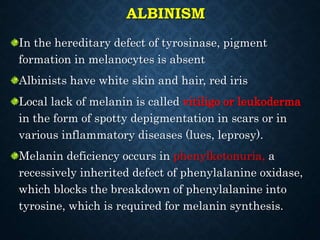 ALBINISM
In the hereditary defect of tyrosinase, pigment
formation in melanocytes is absent
Albinists have white skin and hair, red iris
Local lack of melanin is called vitiligo or leukoderma
in the form of spotty depigmentation in scars or in
various inflammatory diseases (lues, leprosy).
Melanin deficiency occurs in phenylketonuria, a
recessively inherited defect of phenylalanine oxidase,
which blocks the breakdown of phenylalanine into
tyrosine, which is required for melanin synthesis.
 