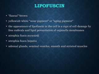 LIPOFUSCIN
• “fuscus”-brown
• yellowish-white "wear pigment" or "aging pigment"
• the appearance of lipofuscin in the cell is a sign of cell damage by
free radicals and lipid peroxidation of organelle membranes
• atrophia fusca myocardi
• atrophia fusca hepatis
• adrenal glands, seminal vesicles, smooth and striated muscles
 