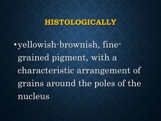 HISTOLOGICALLY
•yellowish-brownish, fine-
grained pigment, with a
characteristic arrangement of
grains around the poles of the
nucleus
 