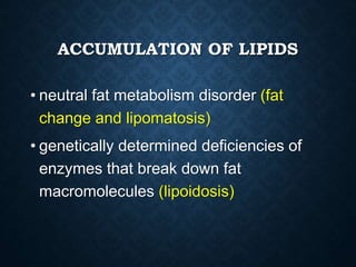 ACCUMULATION OF LIPIDS
• neutral fat metabolism disorder (fat
change and lipomatosis)
• genetically determined deficiencies of
enzymes that break down fat
macromolecules (lipoidosis)
 