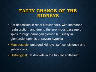 FATTY CHANGE OF THE
KIDNEYS
• Fat deposition in renal tubular cells, with increased
reabsorption, and due to the enormous passage of
lipids through damaged glomeruli, usually in
glomerulonephritis or severe hypoxia
• Macroscopic: enlarged kidneys, soft consistency and
yellow color.
• Histological: fat droplets in the tubular epithelium
 