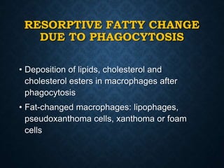 RESORPTIVE FATTY CHANGE
DUE TO PHAGOCYTOSIS
• Deposition of lipids, cholesterol and
cholesterol esters in macrophages after
phagocytosis
• Fat-changed macrophages: lipophages,
pseudoxanthoma cells, xanthoma or foam
cells
 