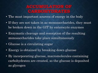 ACCUMULATION OF
CARBOHYDRATES
• The most important sources of energy in the body
• If they are not taken in as monosaccharides, they must
be broken down in the GIT by enterocyte enzymes
• Enzymatic cleavage and resorption of the resulting
monosaccharides take place simultaneously
• Glucose is a circulating sugar
• Energy is obtained by breaking down glucose
• By incorporating glucose, macromolecules containing
carbohydrates are created, so the glucose is deposited
as glycogen
 