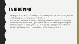 LA ATROPINA
• La atropina es una droga anticolinérgica natural compuesta por ácido tópico y tropina,
una base orgánica compleja con un enlace Ester.
• Parecida a la acetilcolina, las drogas anticolinérgicas se combinan con los receptores
muscarínicos por medio de un lugar catiónico. Las drogas anticolinérgicas compiten
con la acetilcolina en los receptores muscarínicos, localizados primariamente en el
corazón, glándulas salivales y músculos lisos del tracto gastrointestinal y
 