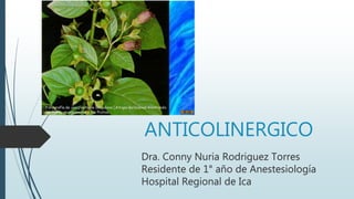 ANTICOLINERGICO
Dra. Conny Nuria Rodriguez Torres
Residente de 1° año de Anestesiología
Hospital Regional de Ica
 