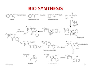 BIO SYNTHESIS
10/30/2018 17
 