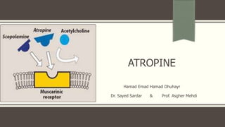 ATROPINE
Hamad Emad Hamad Dhuhayr
Dr. Sayed Sardar & Prof. Asgher Mehdi
 
