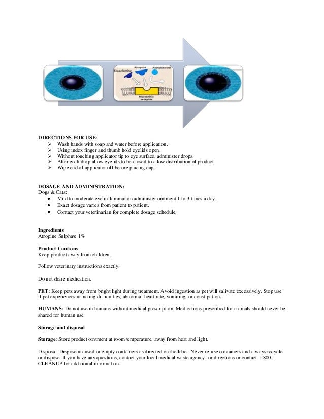 Atropine Ointment For Dogs Eyes Atropine Ointment For Dogs Eyes