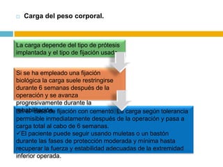 

Carga del peso corporal.

La carga depende del tipo de prótesis
implantada y el tipo de fijación usada.

Si se ha empleado una fijación
biológica la carga suele restringirse
durante 6 semanas después de la
operación y se avanza
progresivamente durante la
rehabilitación. fijación con cemento. La carga según tolerancia
En el caso de
permisible inmediatamente después de la operación y pasa a
carga total al cabo de 6 semanas.
El paciente puede seguir usando muletas o un bastón
durante las fases de protección moderada y mínima hasta
recuperar la fuerza y estabilidad adecuadas de la extremidad
inferior operada.

 