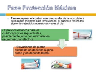 

Para recuperar el control neuromuscular de la musculatura
de la rodilla mientras está inmovilizada, el paciente realiza los
siguientes ejercicios numerosas veces al día:

- Ejercicios estáticos para el

cuádriceps y los isquiotibiales,
posiblemente junto con estimulación
neuromuscular eléctrica.
- Elevaciones de pierna
extendida en decúbito supino,
prono y en decúbito lateral.

 
