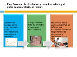 

Para favorecer la circulación y reducir el edema y el
dolor postoperatorio, se inician:

Ejercicios de
bombeo con la
musculatura de
tobillo
inmediatamente
después de la
operación.

Masaje suave de
distal a proximal en
la extremidad
inferior operada.

Movimiento pasivo
continuado (MPC). El
MPC se usa
rutinariamente durante
los primeros días
después de la
operación tras una
operación de
sustitución total de
rodilla.

 