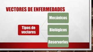 VECTORES DE ENFERMEDADES
Tipos de
vectores
Mecánicos
Biológicos
Reservorios
 
