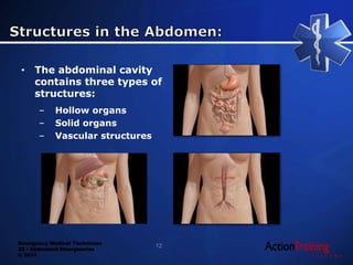 Emergency Medical Technician
22 - Abdominal Emergencies
© 2014
• The abdominal cavity
contains three types of
structures:
– Hollow organs
– Solid organs
– Vascular structures
12
 
