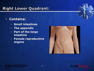 Emergency Medical Technician
22 - Abdominal Emergencies
© 2014
• Contains:
– Small intestines
– The appendix
– Part of the large
intestine
– Female reproductive
organs
16
 