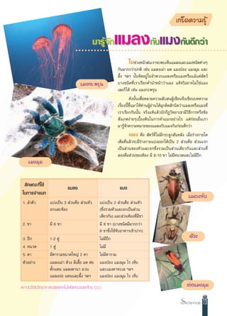 ‡°√Á¥§«“¡√Ÿâ

                                                ¡“√Ÿ®°
                                                    â —     ·¡≈ß°—∫·¡ß°—π¥’°«à“
                                    ○ ○ ○ ○ ○ ○ ○ ○ ○ ○ ○ ○ ○ ○ ○ ○ ○ ○ ○ ○ ○ ○ ○ ○ ○ ○ ○ ○ ○ ○ ○ ○ ○ ○ ○ ○ ○ ○ ○ ○ ○ ○ ○ ○ ○ ○ ○ ○ ○ ○



                                                                      „π™à«ßÀπâ“Ωπ‡√“®–æ∫‡ÀÁπ·¡≈ß·≈–·¡ß™π‘¥µà“ßÊ
                                                              °—π¡“°°«à“ª°µ‘ ‡™àπ ·¡≈ß‡¡à“ ¡¥ ·¡ßªÉÕß ·¡ß¡ÿ¡ ·≈–
                                                              º÷Èß œ≈œ π—Èπ®—¥Õ¬Ÿà „π®”æ«°·¡≈ßÀ√◊Õ·¡ßÀ√◊Õ·¡â·µà —µ«å
                                       ·¡ß°√–æ√ÿπ             ∫“ß™π‘¥∑’Ë‡√“‡√’¬°§”π”Àπâ“«à“·¡ß ·∑â®√‘ßÕ“®‰¡à „™à·¡ß
                                                              ‡≈¬°Á ‰¥â ‡™àπ ·¡ß°–æ√ÿπ
                                                                       ¥—ßπ—Èπ‡æ◊ËÕ§≈“¬§«“¡ —∫ πºŸâ‡¢’¬π®÷ß‡¢’¬π∫∑§«“¡
                                                              ‡√◊ËÕßπ’È¢÷Èπ¡“„Àâ∑à“πºŸâÕà“π‰¥â©ÿ°§‘¥ —°π‘¥«à“·¡≈ßÀ√◊Õ·¡ß∑’Ë
                                                              ‡√“‡√’¬°°—ππ—Èπ ®√‘ß·∑â·≈â«π—°°’Ø«‘∑¬“‡¢“¡’«‘∏’°“√À√◊Õ¢âÕ
                                                               —ß‡°µßà“¬Ê‡∫◊ÈÕßµâπ„π°“√®”·π°Õ¬à“ß‰√ ·µà°àÕπÕ◊Ëπ‡√“
                                                              ¡“√Ÿâ®—°§«“¡À¡“¬¢Õß·¡≈ß°—∫·¡ß°—π°àÕπ¥’°«à“
                                                                      ·¡ß §◊Õ  —µ«å∑’Ë ‰¡à¡’°√–¥Ÿ° —πÀ≈—ß ‡¡◊ËÕ√à“ß°“¬‚µ
                                                              ‡µÁ¡∑’Ë·≈â«®–¡’√à“ß°“¬·∫àßÕÕ°‰¥â‡ªìπ 2  à«π§◊Õ  à«π·√°
                                                              ‡ªìπ à«π¢ÕßÀ—«·≈–Õ°´÷Ëß√«¡‡ªìπ à«π‡¥’¬«°—π·≈– à«π∑’Ë
                                                               Õß§◊Õ à«π¢Õß∑âÕß ¡’ 8-10 ¢“ ‰¡à¡’Àπ«¥·≈–‰¡à¡’ªï°
     ·¡ß¡ÿ¡


  ≈—°…≥–∑’Ë„™â                ·¡≈ß                              ·¡ß
 „π°“√®”·π°                                                                                                   ·¡≈ß∑—∫
 1. ≈”µ—«          ·∫àß‡ªìπ 3  à«π§◊Õ  à«πÀ—«      ·∫àß‡ªìπ 2  à«π§◊Õ  à«πÀ—«
                   Õ°·≈–∑âÕß                       (´÷Ëß√«¡À—«·≈–Õ°‡ªìπ à«π
                                                   ‡¥’¬«°—π) ·≈– à«π∑âÕß∑’¡¢“
                                                                           Ë ’
 2. ¢“             ¡’ 6 ¢“                         ¡’ 8 ¢“ (∫“ß™π‘¥¡’¡“°°«à“
                                                   8 ¢“´÷Ëß„™â®—∫Õ“À“√‡¢â“ª“°)
 3. ªï°            1-2 §Ÿà                         ‰¡à¡’ªï°                                                   ¥â«ß
 4. Àπ«¥           1 §Ÿà                           ‰¡à¡’
 5. µ“             ¡’µ“√«¡¢π“¥„À≠à 2 µ“            ‰¡à¡’µ“√«¡
 µ—«Õ¬à“ß          ·¡≈ß‡¡à“ ¥â«ß º’‡ ◊ÈÕ ¡¥ µàÕ    ·¡ßªÉÕß ·¡ß¡ÿ¡ ‰√ ‡ÀÁ∫
                   µ—Í°·µπ ·¡≈ß¥“π“ ¡«π            ·≈–·¡ß¥“∑–‡≈ œ≈œ
                   ·¡≈ßªÕ ·µπ·≈–º÷Èß œ≈œ           ·¡ßªÉÕß ·¡ß¡ÿ¡ ‰√ ‡ÀÁ∫
 ∂“∫—π«‘®—¬«‘∑¬“»“ µ√å·≈–‡∑§‚π‚≈¬’·Ààßª√–‡∑»‰∑¬ (««.)                                                        µàÕ·¡ß¡ÿ¡

                                                                                                                       13
 