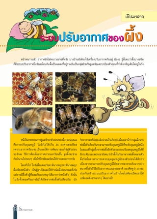 ‡°Á∫¡“Ω“°


                                          √–∫∫ª√—∫Õ“°“»¢Õß                                                                                 º÷Èß
○ ○ ○ ○ ○ ○ ○ ○ ○ ○ ○ ○ ○ ○ ○ ○ ○ ○ ○ ○ ○ ○ ○ ○ ○ ○ ○ ○ ○ ○ ○ ○ ○ ○ ○ ○ ○ ○ ○ ○ ○ ○ ○ ○ ○ ○ ○ ○ ○ ○ ○ ○ ○ ○ ○ ○ ○ ○ ○ ○ ○ ○ ○ ○ ○ ○ ○ ○ ○ ○ ○ ○ ○ ○




                  Àπâ“Àπ“«·≈â« Õ“°“»¬—ß‰¡àÀπ“«Õ¬à“ß∑’ËÀ«—ß ∫“ß∫â“π¬—ßµâÕß„™â‡§√◊ËÕßª√—∫Õ“°“»°—πÕ¬Ÿà πâÕßÊ √Ÿâ¡—È¬§–«à“º÷Èß∫“ß™π‘¥
            °Á¡√–∫∫ª√—∫Õ“°“»„π√—ß‡À¡◊Õπ°—π º÷ß‡ªìπ·¡≈ß∑’Õ¬Ÿ√«¡°—π‡ªìπ°≈ÿ¡™à«¬°—π¥Ÿ·≈√—ß·≈–ª°ªÑÕßµ—«ÕàÕπ∑’°”≈—ß‡®√‘≠‡µ‘∫‚µÕ¬Ÿà„π√—ß
               ’                             È          Ë à             à                                Ë




                   Àπ÷ß„π°√–∫«π°“√¥Ÿ·≈√—°…“µ—«ÕàÕπ¢Õßº÷ß Honeybee
                      Ë                                 È                                «‘∑¬“»“ µ√å¬ßæ∫ ‘ßπà“ π„®‡°’¬«°—∫º÷ß‡À≈à“π’«“ °≈ÿ¡º÷ß®“°
                                                                                                             —   Ë           Ë      È         Èà à È
            §◊Õ°“√ª√—∫Õÿ≥À¿Ÿ¡‘ „π√—ß‰¡à „Àâ‡°‘π 35 Õß»“‡´≈‡´’¬                           æàÕº÷ßµ—«‡¥’¬«°—π®– “¡“√∂ª√—∫Õÿ≥À¿Ÿ¡‰¥â∑√–¥—∫Õÿ≥À¿Ÿ¡Àπ÷ß
                                                                                                  È                                   ‘ ’Ë                  ‘ Ë
            ‡æ√“–Õ“°“»√âÕπ®–‡ªìπº≈„Àâ°“√æ—≤π“¢Õß‰¢à Ÿàµ—«ÕàÕπ                            „π¢≥–∑’Ë°≈ÿà¡º÷Èß®“°æàÕº÷ÈßÕ’°µ—« “¡“√∂ª√—∫≈¥Õÿ≥À¿Ÿ¡‘‰¥â∑’Ë
            ™–ß—°≈ß «‘∏’°“√§◊Õ‡¡◊ËÕÕ“°“»¿“¬πÕ°√âÕπ¢÷Èπ ΩŸßº÷Èß®–™à«¬                     Õ’°√–¥—∫ ·≈–æ«°‡¢“¬—ßæ∫«à“∂â“º÷ß„π√—ß¡“®“°æàÕº÷ßÀ≈“¬µ—«
                                                                                                                               È                     È
            °—π∫‘π«π‰ª√Õ∫Ê ‡æ◊ËÕ„™âªï°æ—¥≈¡√âÕπ„Àâ∂à“¬‡∑ÕÕ°®“°√—ß                        º÷È ß √— ß π—È π ®– “¡“√∂§«∫§ÿ ¡ Õÿ ≥ À¿Ÿ ¡‘ ¢ Õßµ— « Õà Õ π‰¥â ¥’ ° «à “
                    ‚¥¬∑—Ë«‰ª „π√—ßº÷Èß·µà≈–√—ß®–¡’π“ßæ≠“®–¡’π“ßæ≠“                      ‡π◊ËÕß®“° “¡“√∂ª√—∫Õÿ≥À¿Ÿ¡‘‰¥âÀ≈“°À≈“¬√–¥—∫¡“°°«à“
            º÷Èß‡æ’¬ßÀπ÷Ëßµ—« ‡ªìπºŸâ«“ß‰¢à·≈–„Àâ°”‡π‘¥º÷ÈßÕàÕπÀ¡¥∑—Èß√—ß                ¢π“¥º÷Èß¬—ß¡’«‘∏’ª√—∫Õ“°“»·∫∫∏√√¡™“µ‘ ≈Õß§‘¥¥Ÿ«à“ ‡√“®–
            ·µàÕ“®¡’º÷Èßµ—«ºŸâ∑’Ëº ¡°—∫π“ßæ≠“‰¥â¡“°°«à“Àπ÷Ëßµ—« ¥—ßπ—Èπ                  ™à«¬°—π √â“ß√–∫∫ª√—∫Õ“°“»„π∫â“π‚¥¬‰¡àµâÕß‡ªî¥·Õ√å„Àâ
            „π√— ß ∑—È ß À¡¥®÷ ß Õ“®‰¡à ‰¥â ‡ °‘ ¥ ®“°æà Õ º÷È ß µ— « ‡¥’ ¬ «°— π π— °   ‡ª≈◊Õßæ≈—ßß“π¡“°Ê ‰¥âÕ¬à“ß‰√




            14
 