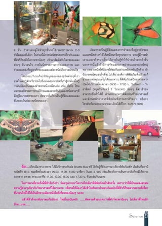 6 ™—È π ∂â “ ®–‡¥‘ π ¥Ÿ „ Àâ ∑—Ë « ∑ÿ ° ™—È π ®–„™â ‡ «≈“ª√–¡“≥ 2-3          ∂— ¥ ¡“®–‡ªì π µŸâ ∑Ë’ ®— ¥ · ¥ß°“√®”≈Õß∑’Ë Õ ¬Ÿà Õ “»— ¬ ¢Õß
™—Ë«‚¡ß‡≈¬∑’‡¥’¬« „π™à«ßπ’È¡’°“√®—¥π‘∑√√»°“√‡°’Ë¬«°—∫·¡≈ß             ·¡≈ß™π‘¥µà“ßÊ‰«â ‰¥â‡À¡◊Õπ®√‘ß∑ÿ°ª√–°“√ ∫“ßµŸâ¡’°“√π”
æ’Ë∑—«√å°Á¢Õ∂◊Õ‚Õ°“ æ“πâÕßÊ ‡¢â“¡“ —¡º— °—∫‚≈°¢Õß·¡≈ß                 ‡Õ“·¡≈ß®√‘ßÊ¡“‡≈’È¬ß‰«â¿“¬„πµŸâ∑”„Àâπà“ π„®¡“°¬‘Ëß¢÷Èπ
µà“ßÊ ∑’Ëπà“ π„® ¿“¬„ππ‘∑√√»°“√®–®—¥· ¥ß¿“æ ·≈–                       πÕ°®“°π’È · ≈â « ¬— ß ¡’ ° “√®— ¥ · ¥ß¿“æ∂à “¬·¡≈ß¢π“¥„À≠à
®”≈Õß·À≈àß∑’ËÕ¬ŸàÕ“»—¬¢Õß·¡≈ß·µà≈–™π‘¥‰«âÕ¬à“ßπà“ π„®                 À≈“°À≈“¬™π‘¥„ÀâπâÕßÊ‰¥â™¡°—πÕ¬à“ß‡æ≈‘¥‡æ≈‘πÕ’°¥â«¬ ∂â“
         ‚¥¬√Õ∫∫√‘‡«≥°Á®–¡’¢âÕ¡Ÿ≈¢Õß·¡≈ß™π‘¥µà“ßÊ∑’Ë‡√“               πâÕßÊ§π‰Àπ π„®∑’Ë®–‰ª‡∑’Ë¬«Õß§å°“√æ‘æ‘∏¿—≥±å·≈â«≈–°Á
Õ“®‰¡à‡§¬√Ÿâ®—°À√◊Õ√«¡‰ª∂÷ß·¡≈ß∫“ß™π‘¥∑’Ë‡√“√Ÿâ®—°¥’·µà ‰¡à√Ÿâ        ™«π§ÿ≥æàÕ§ÿ≥·¡à ‰ª‰¥â‡≈¬‡æ√“–∑’Ëæ‘æ‘∏¿—≥±å«‘∑¬“»“ µ√åœ
«à“¡—π°Á®—¥‡ªìπ·¡≈ß®”æ«°Àπ÷Ëß‡À¡◊Õπ°—π ‡™àπ °‘Èß°◊Õ ‚´π               ‡ªî¥„Àâ∫√‘°“√µ—Èß·µà‡«≈“ 09.30 - 17.00 π. «—πÕ—ß§“√ - «—π
·√°¢Õßπ‘∑√√»°“√®–¡’ªÑ“¬· ¥ß “¬æ—π∏ÿå·¡≈ß™π‘¥µà“ßÊ∑’Ë                  Õ“∑‘µ¬å (À¬ÿ¥«—π®—π∑√å 1 «—ππ–§–) πâÕßÊ ∑’Ë®–‡¢â“™¡
¡’Õ¬Ÿà „πª√–‡∑»¢Õß‡√“ µàÕ®“°π—Èπ°Á®–‡ªìπµŸâ∑Ë’®—¥· ¥ß·¡≈ß              “¡“√∂´◊ÈÕµ—Î«‰¥â∑’Ë ¥â“πÀπâ“Õ“§“√æ‘æ‘∏¿—≥±å«‘∑¬“»“ µ√å
∑’Ë‡§¬æ∫„πª√–‡∑»‰∑¬¢Õß‡√“                                             ·≈–¥â “ πÀπâ “ Õ“§“√æ‘ æ‘ ∏ ¿— ≥ ±å ∏ √√¡™“µ‘ «‘ ∑ ¬“ À√◊ Õ ®–
                                                                      ‚∑√»—æ∑å¡“ Õ∫∂“¡√“¬≈–‡Õ’¬¥‰¥â∑’Ë ‚∑√. 0-2577-9999




       ÕâÕ!....‡°◊Õ∫≈◊¡ ∑“ß Õæ«™. ‰¥â¡’∫√‘°“√√∂√—∫ àß Shuttle Bus ø√’ „Àâ°—∫ºŸâ∑’ËµâÕß°“√¡“‡∑’Ë¬«æ‘æ‘∏¿—≥±åœ ‡√‘Ë¡µâπ∑’Ë ∂“π’
√∂‰øøÑ“ BTS À¡Õ™‘µµ—Èß·µà‡«≈“ 09.00, 11.00, 14.00 π“Ãî°“ «—π≈– 3 √Õ∫ ‡™àπ‡¥’¬«°—∫°“√‡¥‘π∑“ß°≈—∫°Á®–¡’‡∑’Ë¬«√∂
ÕÕ°®“° Õæ«™. µ“¡‡«≈“§◊Õ 11.30, 13.30, 15.30 ·≈– 17.30 π. ¥â«¬‡™àπ°—ππ–§–
        „π°“√æ“‡∑’Ë¬«§√—Èßπ’Èæ’Ë∑—«√åÀ«—ß«à“ πâÕßÊπà“®–À“‚Õ°“ ‰ª‡∑’Ë¬«∑’Ëæ‘æ‘∏¿—≥±åœ —°§√—Èß ‡æ√“–«à“∑’Ëπ’Ë‡ªìπ·À≈àß – ¡
§«“¡√Ÿâµà“ßÊ‡°’Ë¬«°—∫«‘∑¬“»“ µ√å‰«â¡“°¡“¬ ‡æ◊ËÕ√Õ„ÀâπâÕßÊ‰¥â‡¢â“‰ª§âπÀ“§”µÕ∫°—π©∫—∫π’Èæ’Ë∑—«√å°Á¢ÕΩ“° ∂“π∑’Ë‡∑’Ë¬«
∑’Ëπà“ π„®π’È‰«â„Àâ‡ªìπÕ’°∑“ß‡≈◊Õ°Àπ÷Ëß„π∑’Ë‡∑’Ë¬«¢ÕßπâÕßÊ π–§–
        ·≈â«æ’Ë∑—«√å®–°≈—∫¡“æ∫°—∫πâÕßÊ „À¡à„π©∫—∫Àπâ“ .......µ‘¥µ“¡¥â«¬π–§–«à“æ’Ë∑—«√å®–æ“πâÕßÊ ‰ª‡∑’Ë¬«∑’Ë‰ÀπÕ’°
∫ä“¬...∫“¬.......


                                                                                                                                      23
 